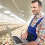 Fermele integrate și misterul calității carniei de pui