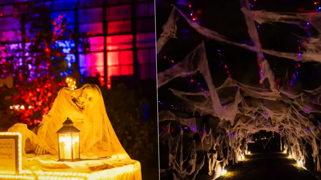 Lumina Park organizează Halloween Weekend între 30 octombrie și 1 noiembrie